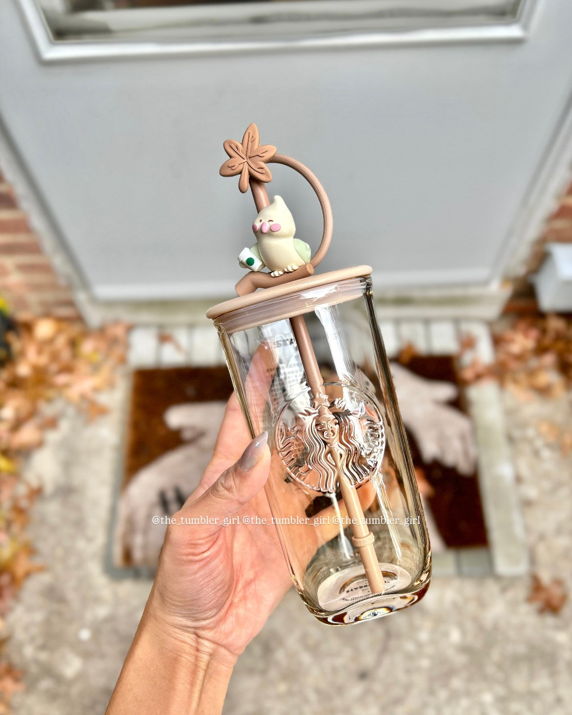 Starbucks China 18oz Farmer Bird Triangle Glass Cup (READY TO SHIP)