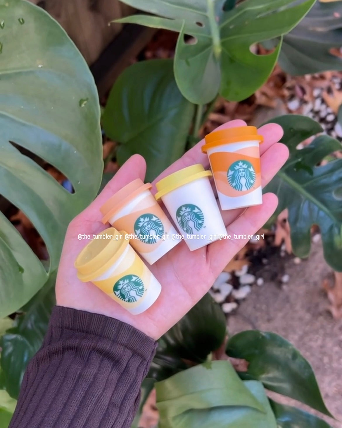 Starbucks China Mini Coffee Cup Bucket – 18 Tiny Drink Pods (4 flavors)