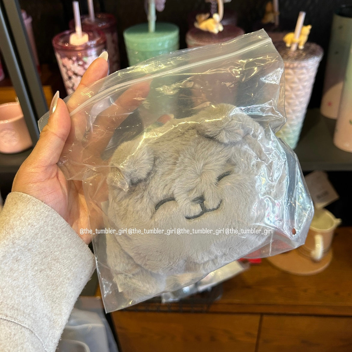 Starbucks Taiwan Grey Cat Coin Purse (ships late March)