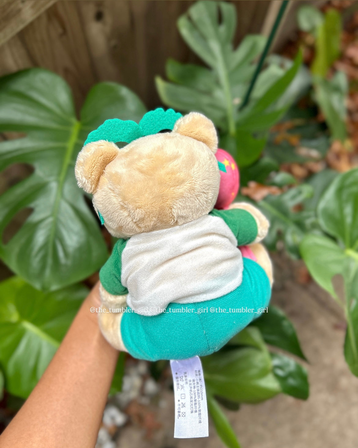 Starbucks China Happy Birthday Singing Bearista Plushie (READY TO SHIP)