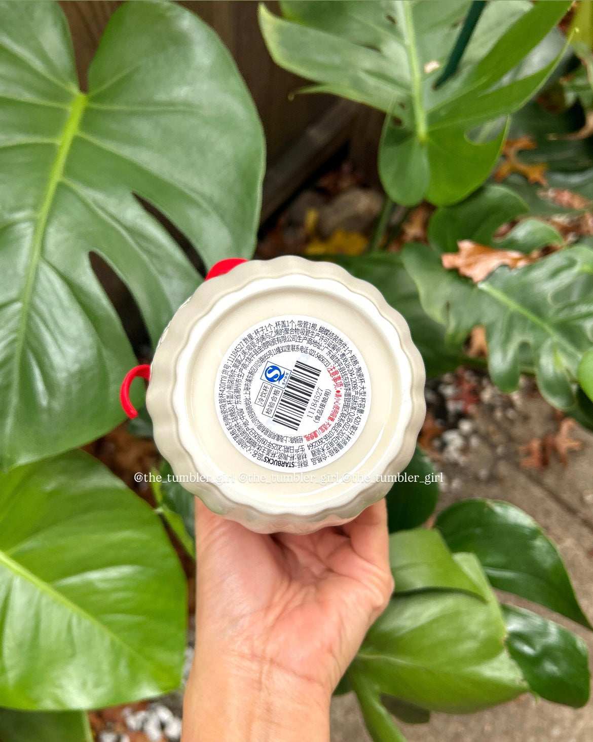 Starbucks China 2025 Holiday 14oz Bear Ceramic Cup with Red Bow (READY TO SHIP)