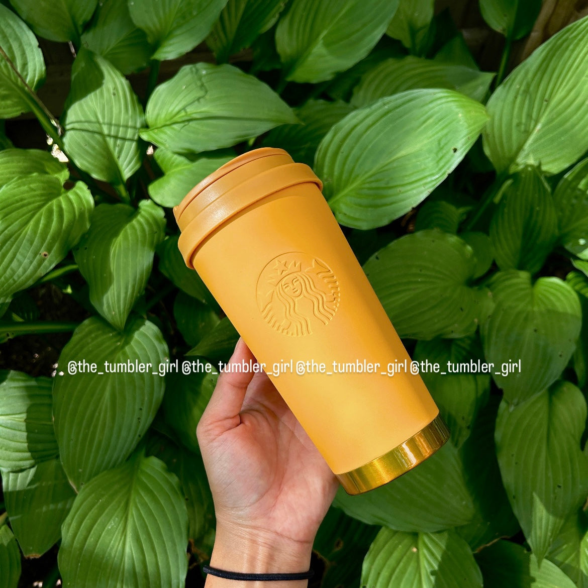 Starbucks Taiwan mustard yellow matte stainless steel 16oz