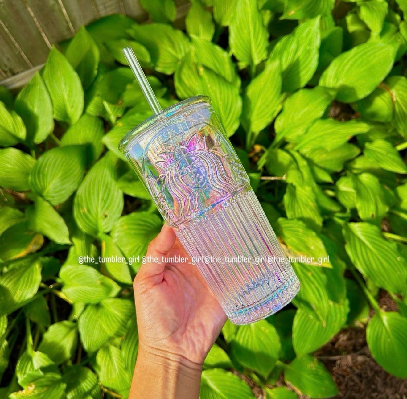 China Exclusive 18oz Unicorn Translucent Glass Cold Cup (READY TO SHIP)