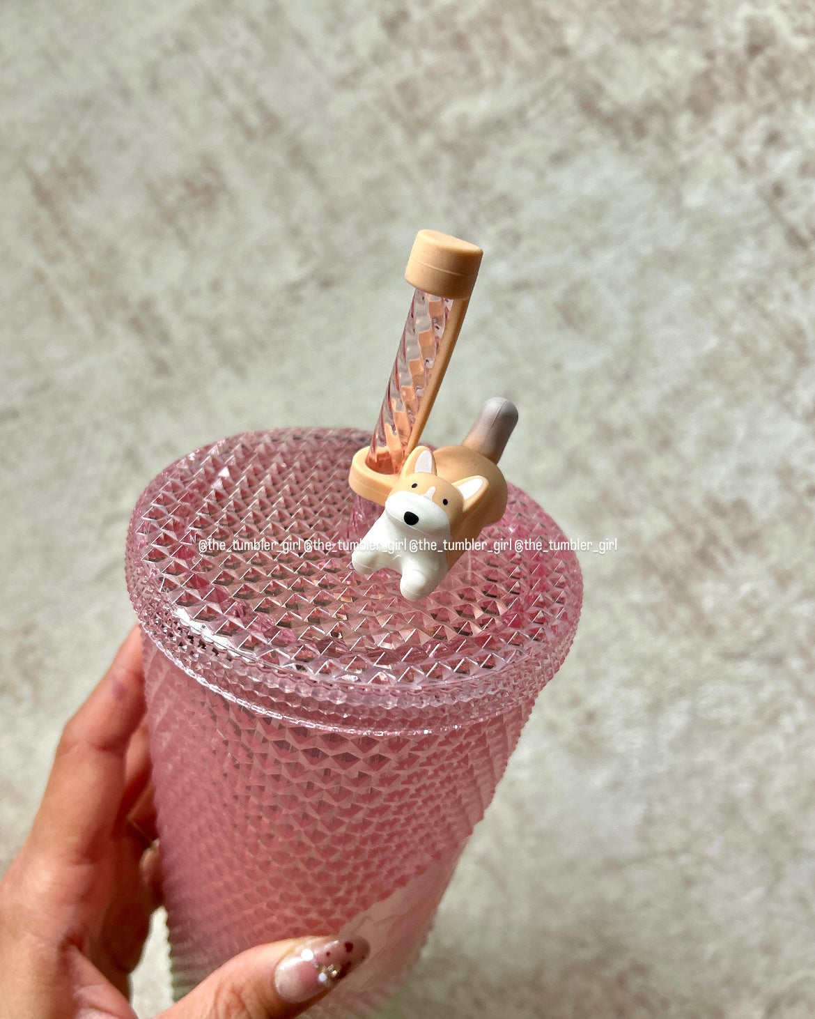Starbucks Taiwan Spring Ombré Corgi Studded Tumbler (READY TO SHIP)