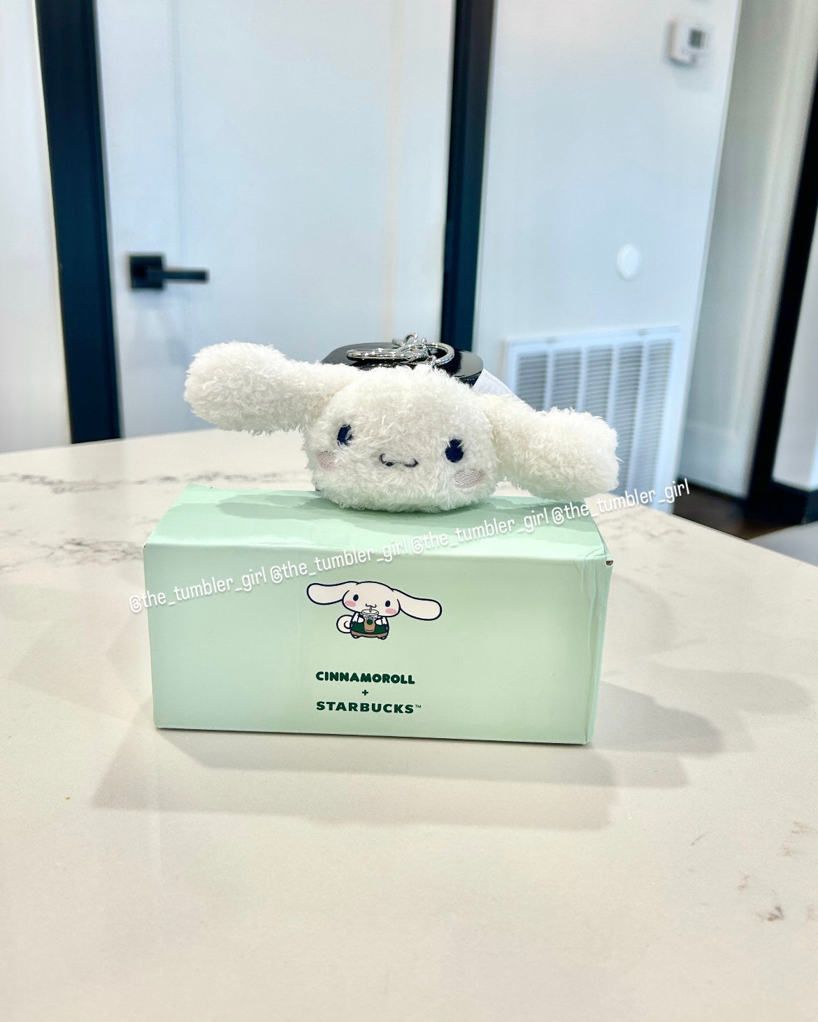 2026 Philippines Exclusive Cinnamoroll Plushie Keychain (READY TO SHIP)