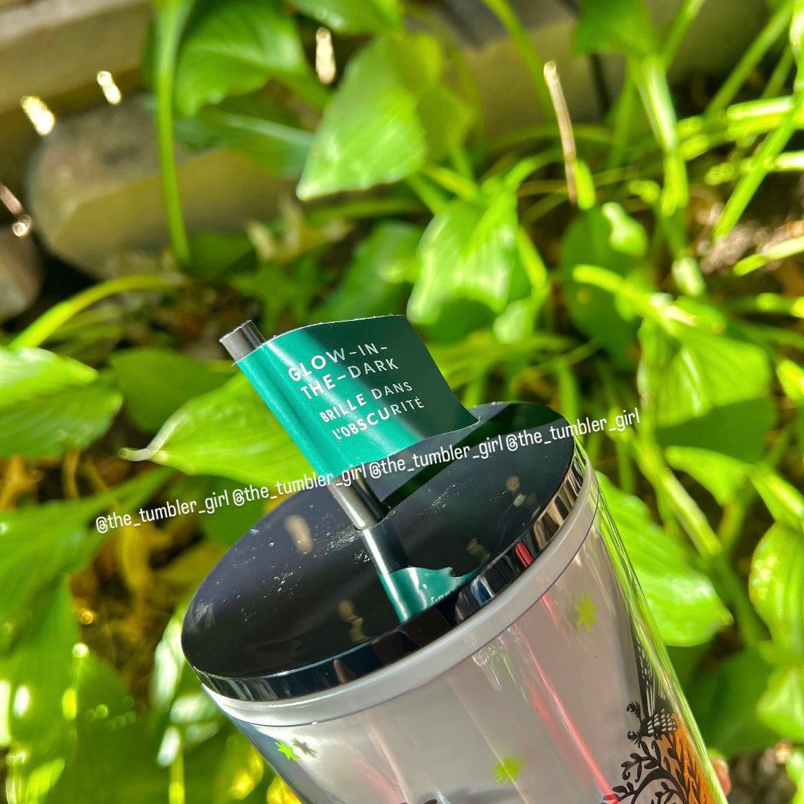 Starbucks Halloween Glow in the Dark Night Moth Cold Cup Tumbler (READY TO SHIP)