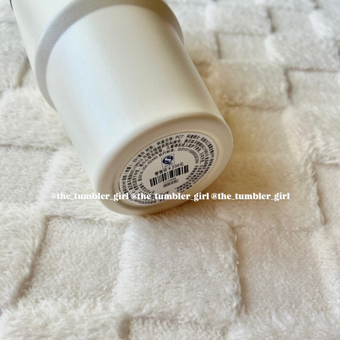 Starbucks Chin x Stanley Minimalist Series 14oz Stainless Steel Tumbler (READY TO SHIP)