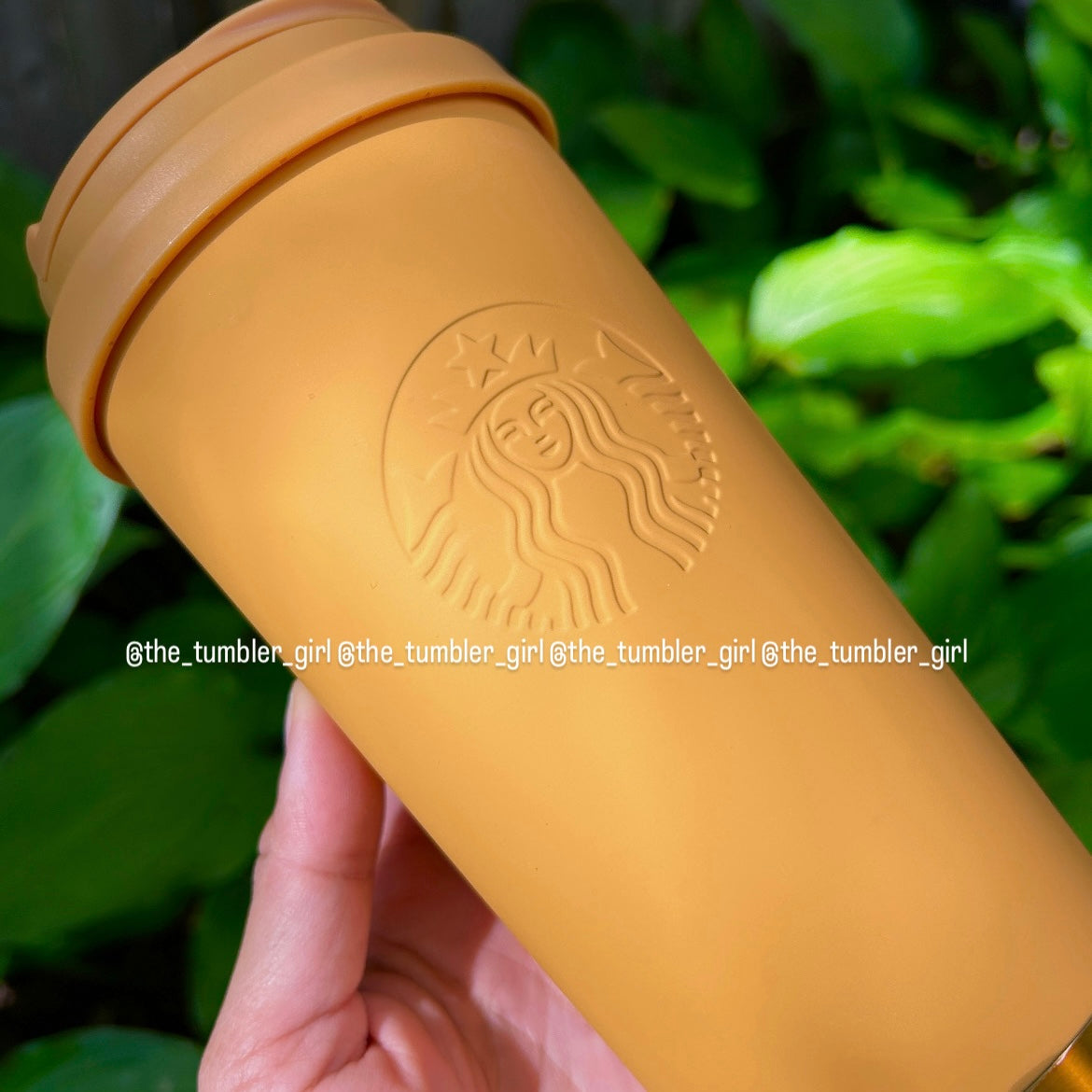 Starbucks Taiwan mustard yellow matte stainless steel 16oz